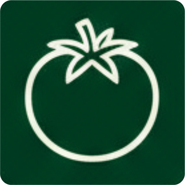 tomatoes